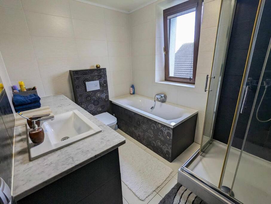 Close To Molo Apartment Osiek (Lesser Poland)